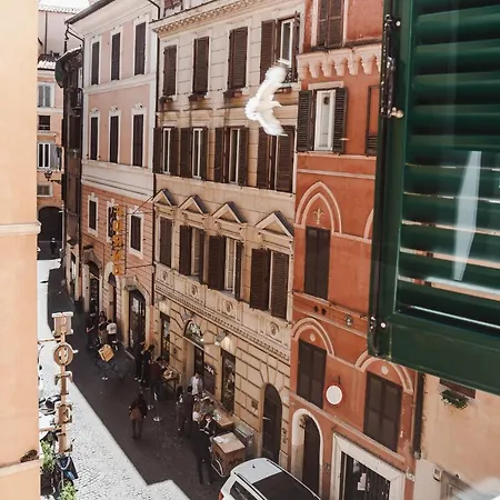 Nikis Collection Navona-3
